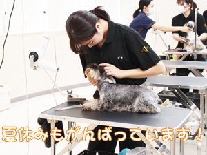 ☆１年生のトリミング☆